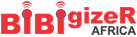 bibi_logo-small